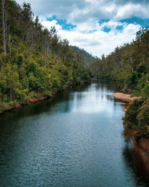 Photo verticale d'une longue rivière avec des arbres sur les rives