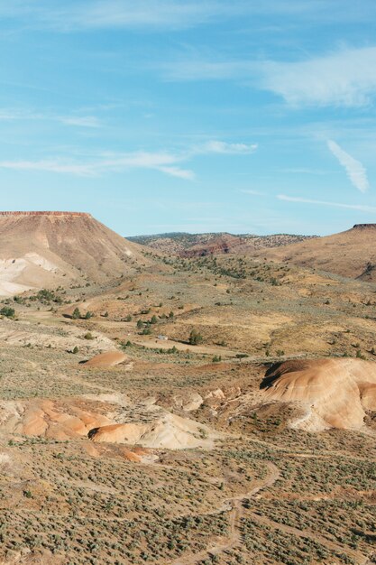 Photo verticale de roches couvertes de sable et de verdure sous la lumière du soleil et un ciel bleu