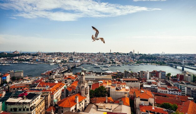 Photo d'une vue panoramique sur la ville prise du haut de la tour dans la ville d'Istanbul