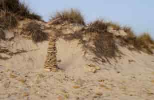 Photo gratuite photographie d'un paysage de dunes dorées avec un tas de pierres