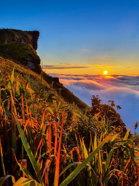 Phu chi fa et brouillard au lever du soleil dans la province de Chiang Rai, Thaïlande