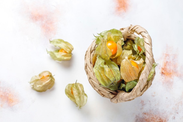 Photo gratuite physalis peruviana ou baie d'or.