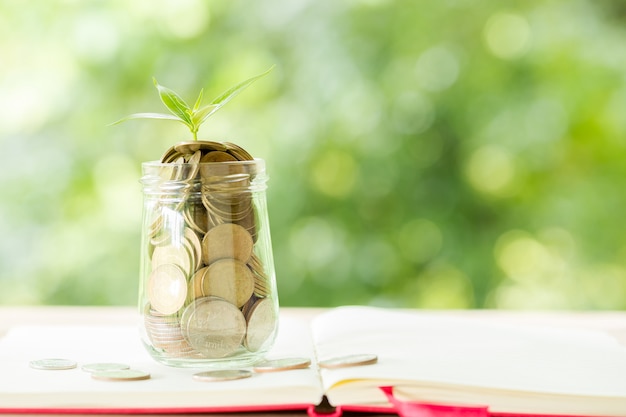 Une pièce de monnaie dans une bouteille en verre avec un petit arbre