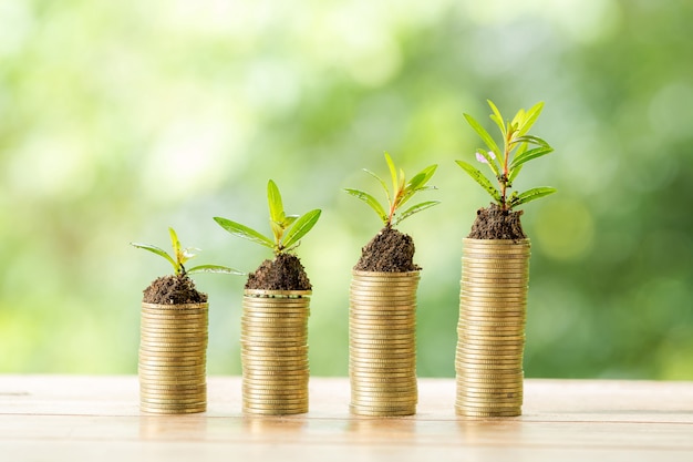 Pièce de monnaie sur une table en bois sur la nature floue