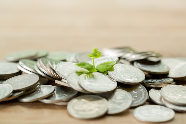 Pièce de monnaie sur la table en bois