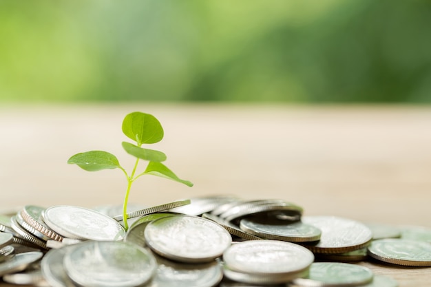 Pièce de monnaie sur la table en bois