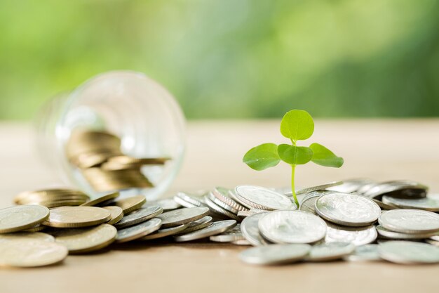 Pièce de monnaie sur la table en bois