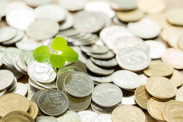 Pièce de monnaie sur la table en bois