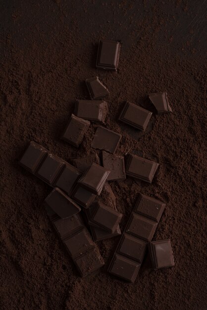 Pièces de carreaux de chocolat noir recouverts de poudre de chocolat