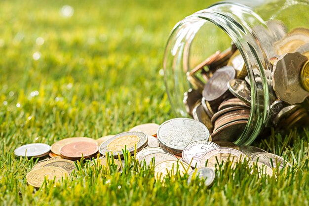 Les pièces en pot de verre pour de l'argent sur l'herbe verte