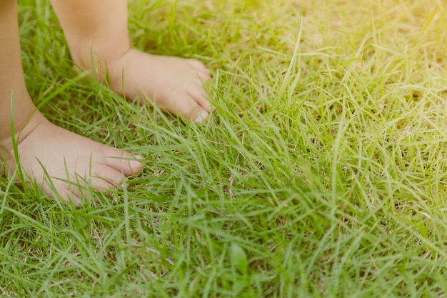 Photo gratuite pieds de bébé sur la pelouse
