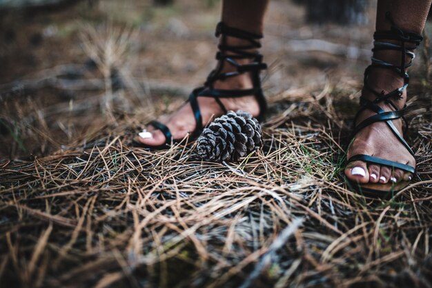 Pieds de femme près d'un cône de conifère au sol