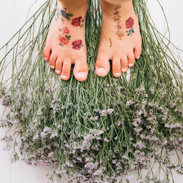 Photo gratuite pieds sur les fleurs