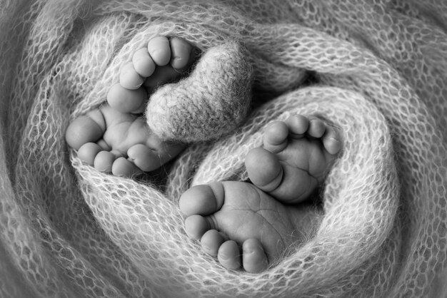 Pieds De Jumeaux Nouveau Nes Deux Paires De Pieds De Bebe Dans Une Couverture Tricotee Coeur Tricote Gros Plan Orteils Talons Et Pieds D Un Nouveau Ne Freres Sœurs Nouveau Nes Macrophotographie En Studio Noir