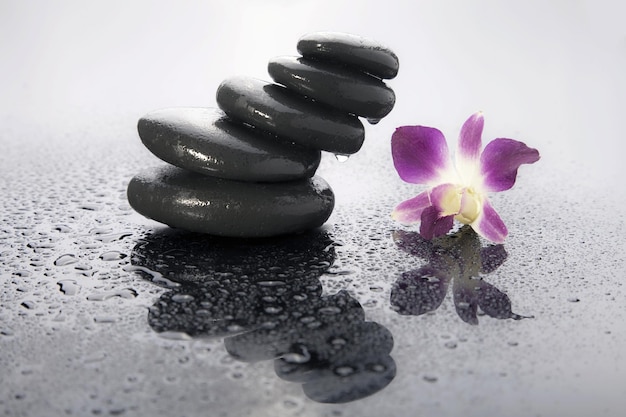 Pierres faites pour la méditation avec des gouttes d'eau sur une surface humide et une fleur sur le côté