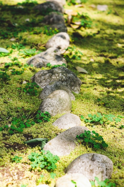 Photo gratuite pierres avec de la mousse dans la forêt