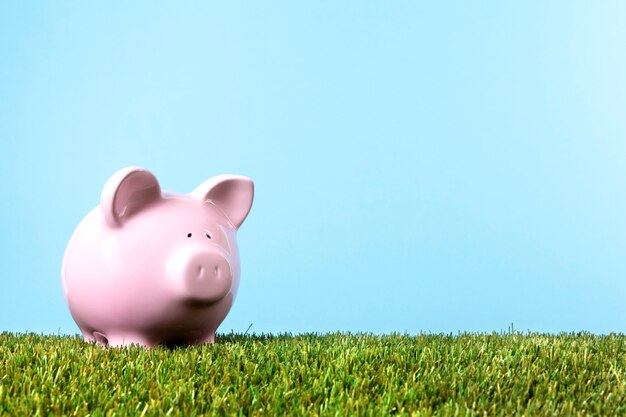 Piggybank dans l&#39;herbe