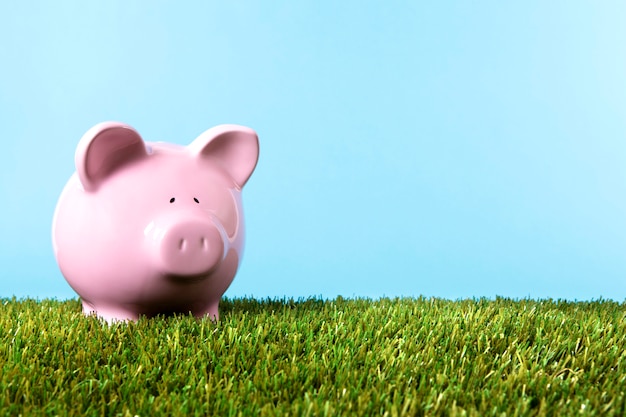 Photo gratuite piggybank rose sur l'herbe