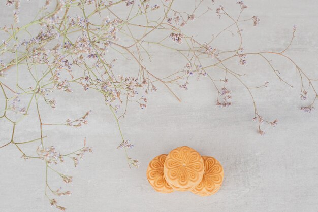 Pile de biscuits à la crème à côté de la plante sur fond blanc.