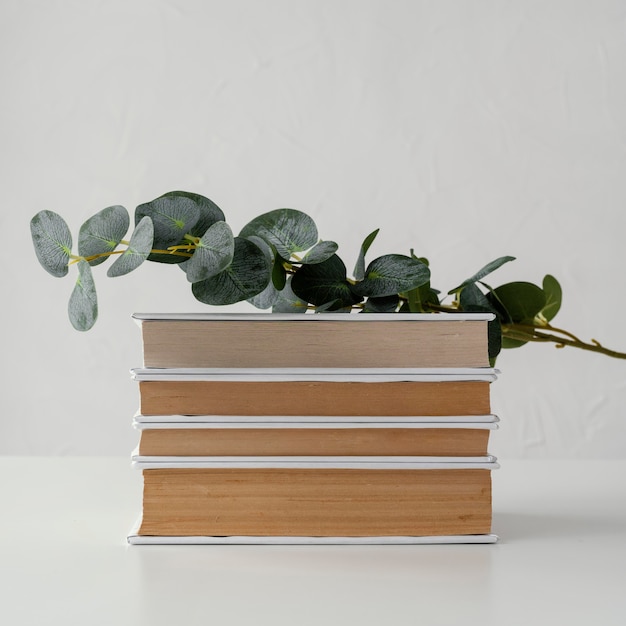 Pile de livres avec plante et fond blanc