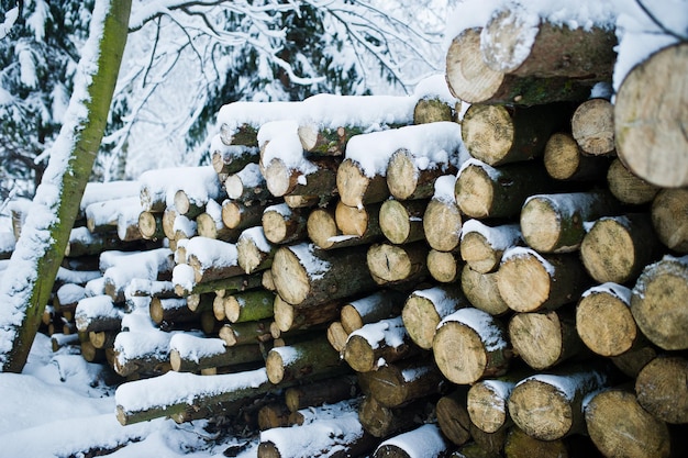 Pile de morceaux de bois recouverts de neige Hiver