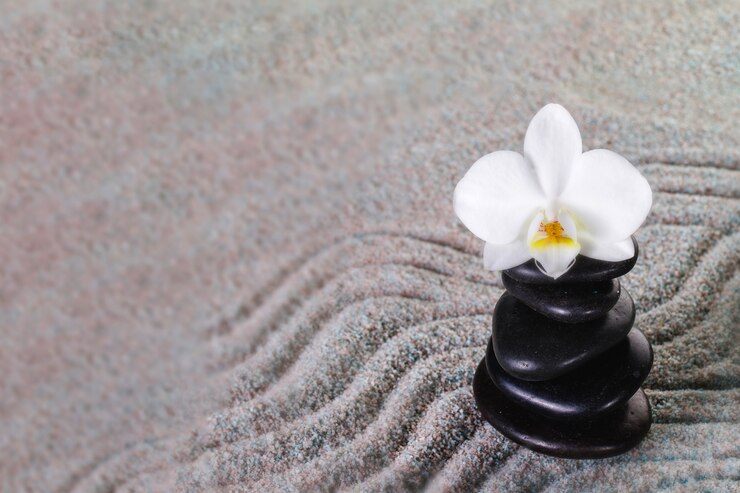Photo gratuit pile de pierres noires avec des orchidées sur le dessus