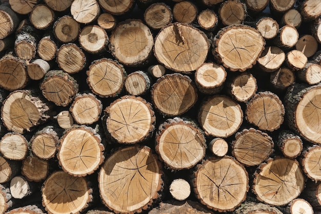 Des piles de bois