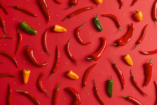 Piments épicés colorés isolés sur fond rouge. Le poivron vert, jaune et rouge est utilisé pour préparer un curry fort. Herbes cultivées au jardin. Concept de nutrition et d'alimentation. Composition créative