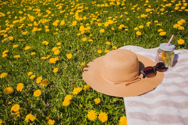 Photo gratuite pique-nique à la campagne avec des éléments d'été