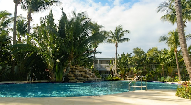 piscine entourée de palmiers près d'un hôtel
