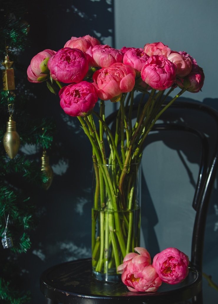 Photo gratuit pivoines roses à l'intérieur d'un vase en verre