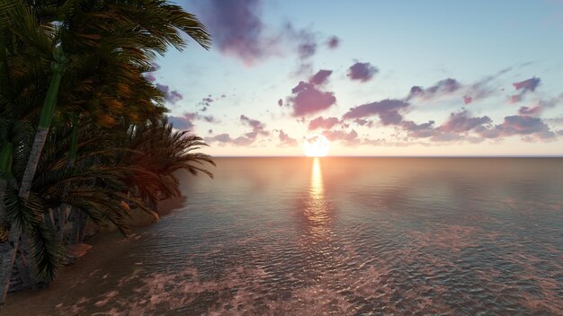 Plage au coucher du soleil avec un arbre