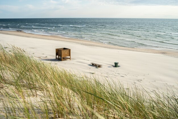 Plage couverte d'herbe avec des bancs en bois sur elle entourée par la mer sous la lumière du soleil