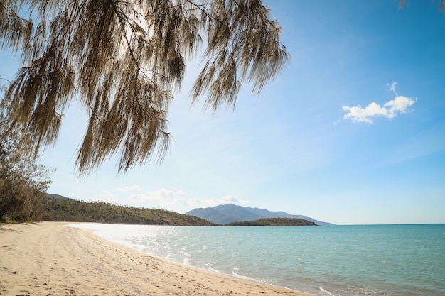 Plage couverte de verdure entourée par la mer avec des collines sous un ciel bleu