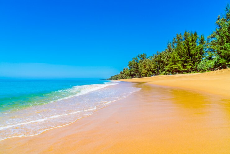 Photo gratuit plage avec du sable mouillé et des arbres en arrière-plan