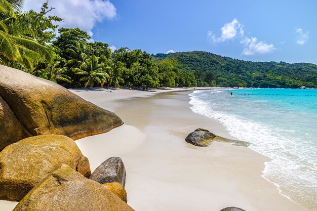 Plage entourée par la mer et la verdure sous la lumière du soleil et un ciel bleu à Praslin aux Seychelles