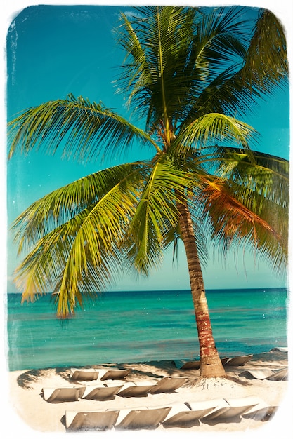 Photo gratuite plage d'été tropicale avec branche d'arbre de feuille de palmier mer et ciel