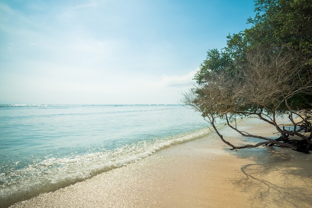 Photo gratuite plage indonésienne