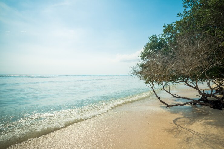 Photo gratuit plage indonésienne