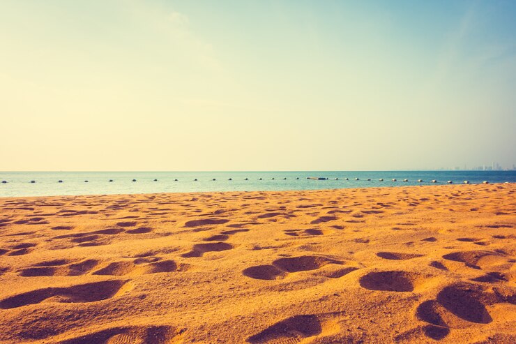 Photo gratuit plage et mer avec espace de copie