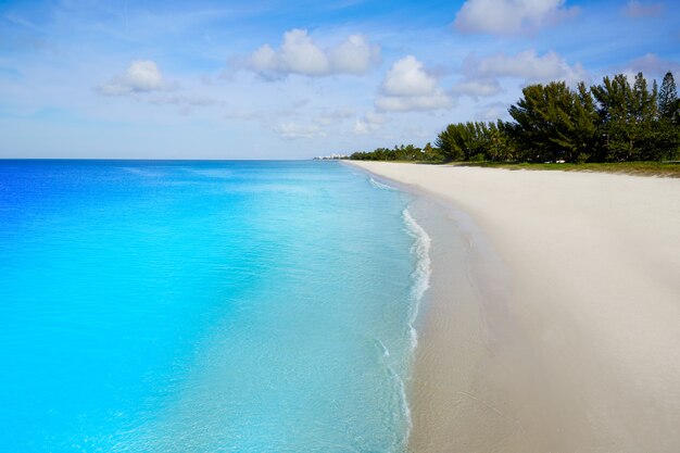 Plage De Naples En Journee Ensoleillee Floride Us Photo Premium
