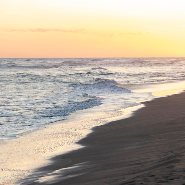 Plage de sable à côté de l'océan paisible