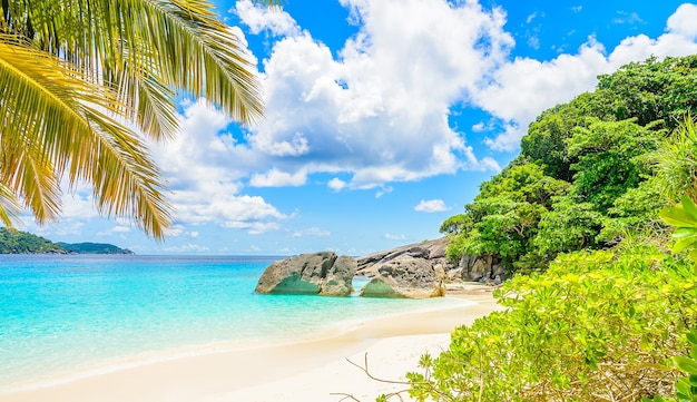 Photo gratuite plage de sable impressionnant