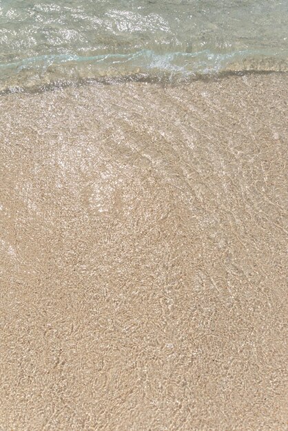 Plage de sable et vagues de l'océan