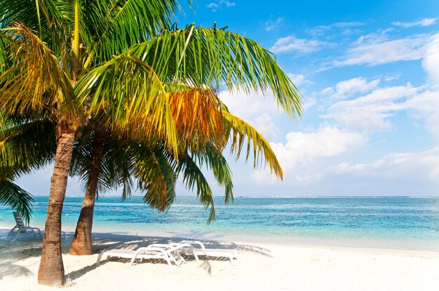 Plage tranquille inhabitée