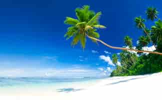 Photo gratuite plage tropicale aux samoa