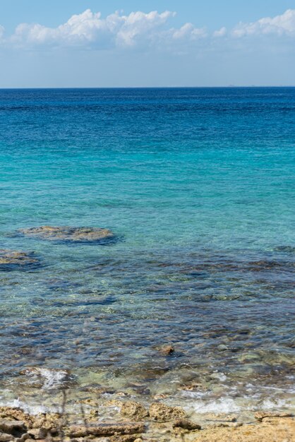 Plage tropicale par une journée ensoleillée