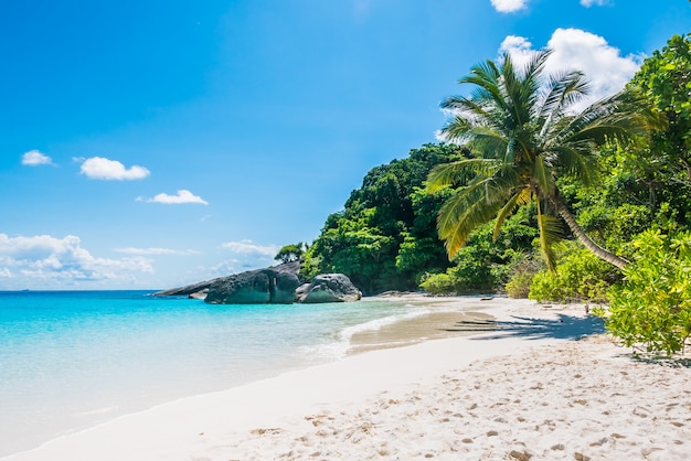 plage tropicale de sable blanc