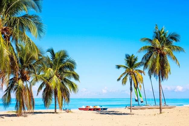 Cuba Vecteurs Et Photos Gratuites