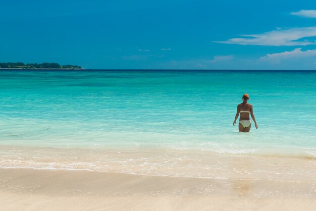 Plage tropicale